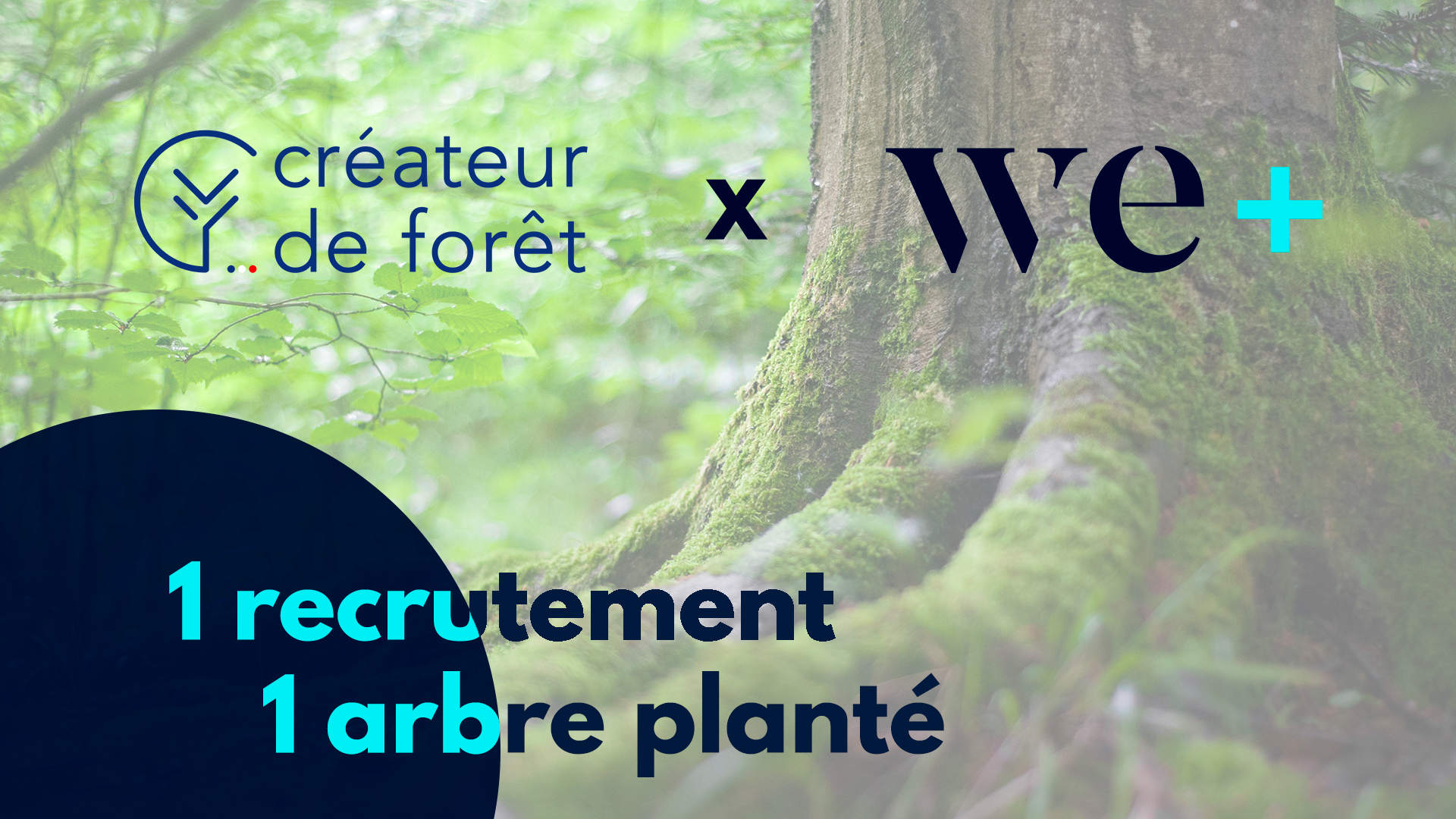 partenariat we+ x créateur de forêt